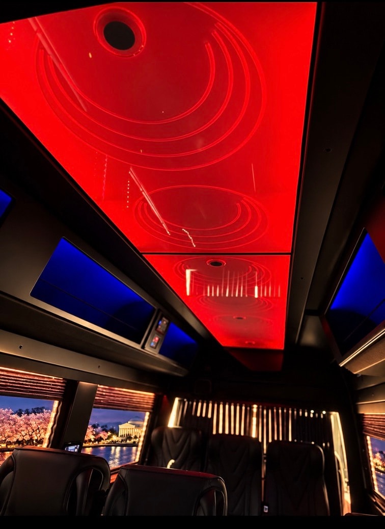 Mercedes-Benz Sprinter interior red neon ceiling panoramic cherry blossom night view